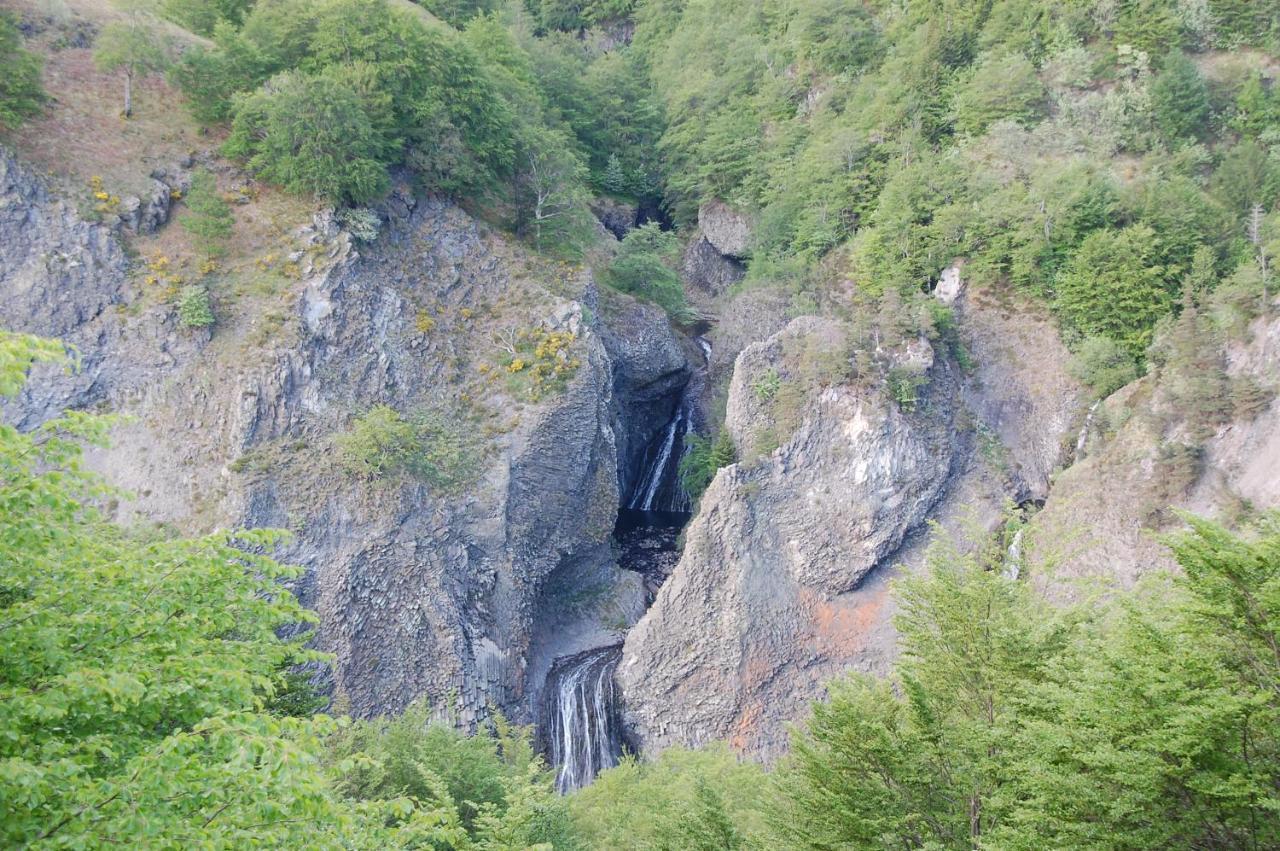 Hotel Des Cevennes Mezilhac Екстер'єр фото
